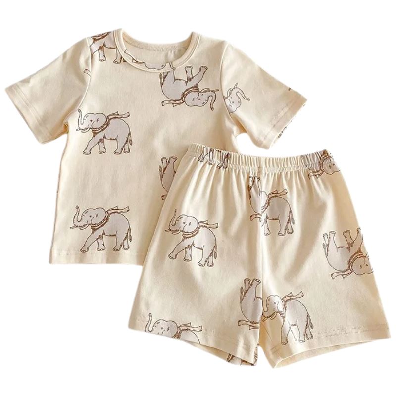 Conjunto Infantil Unissex com Estampa de Animais